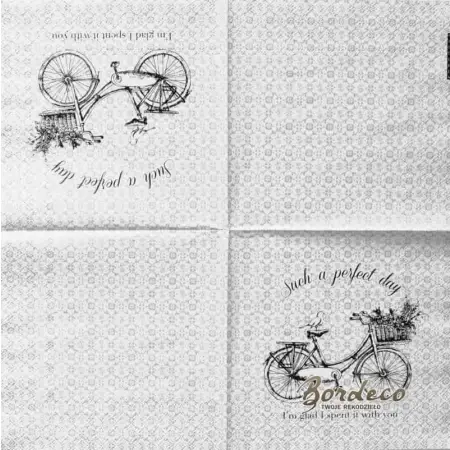 Serwetka do decoupage rower z koszem wiklinowym i ptaszkiem 33x33 CLAYRE@EEF Unikat