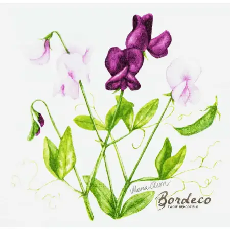 Serwetka do decoupage groszek pachnący 33x33 DUNI. Unikat