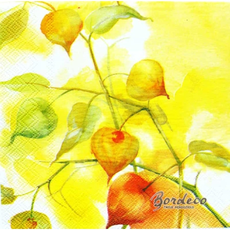Serwetka do decoupage miechunka 33x33 DUNI