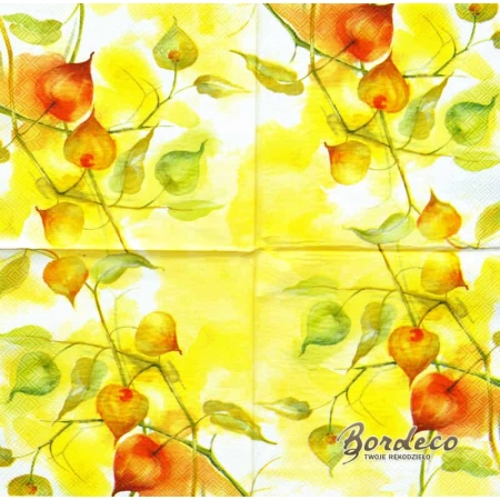 Serwetka do decoupage miechunka 33x33 DUNI