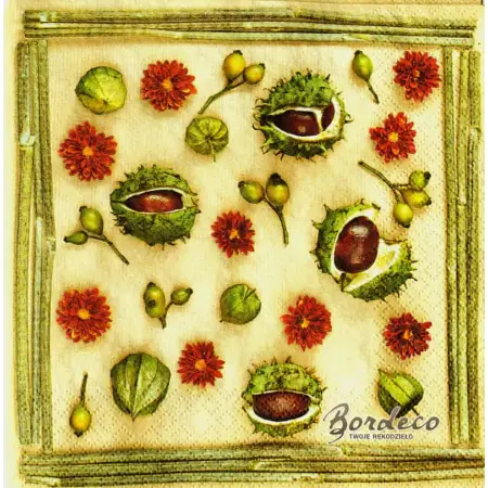Serwetka do decoupage jesienne rośliny 33x33 DAISY Unikat