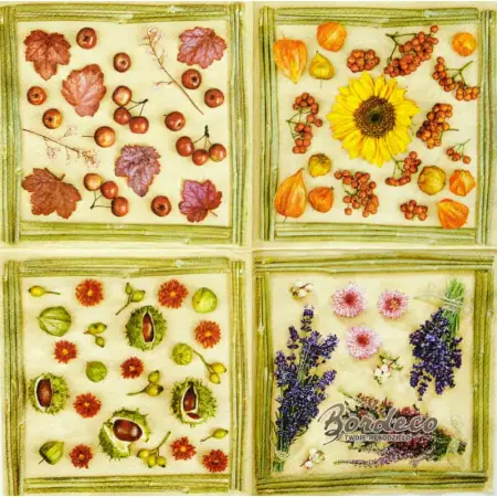 Serwetka do decoupage jesienne rośliny 33x33 DAISY Unikat