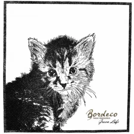 Serwetka do decoupage mały kotek, szkic 33x33 DAISY Unikat
