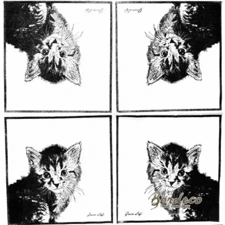 Serwetka do decoupage mały kotek, szkic 33x33 DAISY Unikat