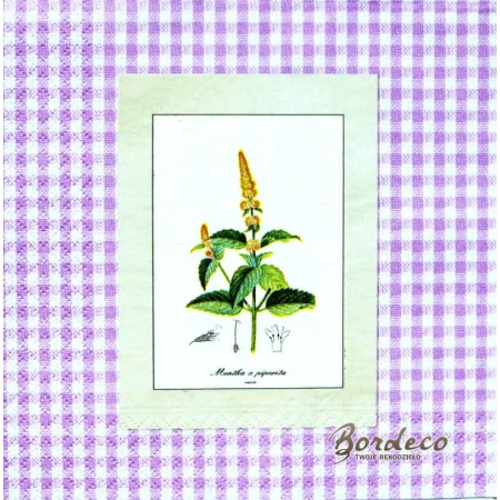 Serwetka decoupage obrazkiziół na fioletowej kartce 33x33 GOMAR