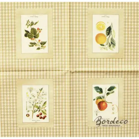 Serwetka decoupage obrazki owoców na beżowej kartce 33x33 GOMAR Unikat