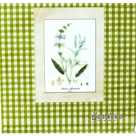 Serwetka decoupage obrazki ziół na zielonej kartce 33x33 GOMAR Unikat