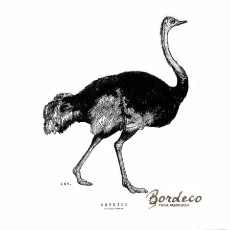 Serwetka do decoupage rysunek, szkic  strusia 33x33 H&M Unikat