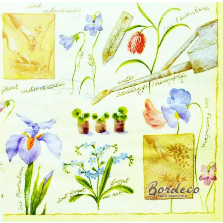 Serwetka do decoupage pojedyncze kwiaty z opisami 33x33 MAKI Unikat