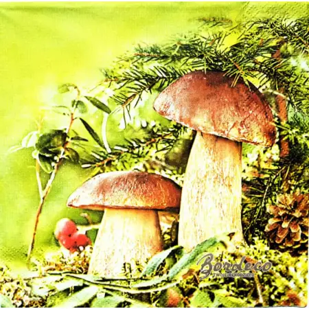 Serwetka do decoupage para grzybów borowików 33x33 MAKI Unikat