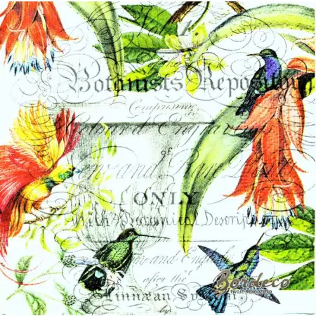 Serwetka do decoupage egzotyczne ptaki i kwiaty 25x25 MICHEL Unikat