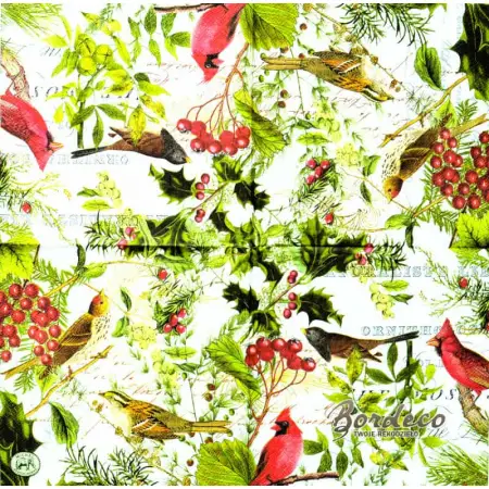 Serwetka do decoupage egzotyczne ptaki i dzikie owoce 33x33 MICHEL Unikat
