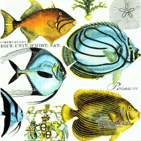 Serwetka do decoupage tropikalne ryby 33x33 MICHEL