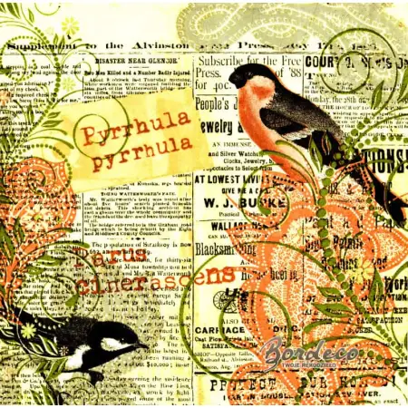 ptaków gila i sikorki na tle starej gazety