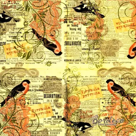 ptaków gila i sikorki na tle starej gazety