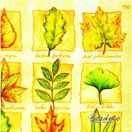 Serwetka do decoupage liście drzew z opisami na beżowym tle  33x33 PAW Unikat