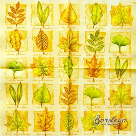 Serwetka do decoupage liście drzew z opisami na beżowym tle  33x33 PAW Unikat