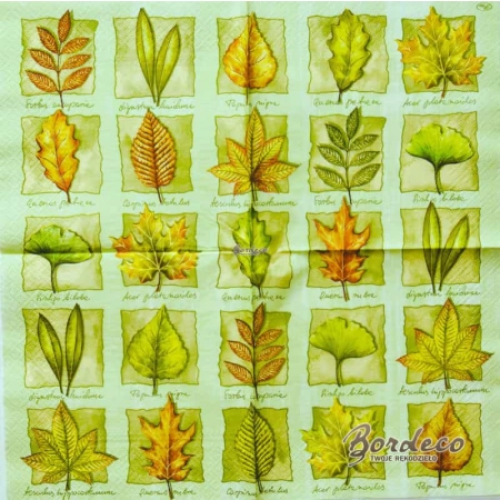 Serwetka do decoupage liście drzew z opisami na zielonym tle  33x33 PAW Unikat