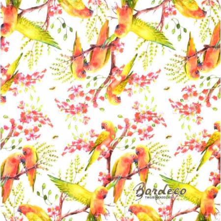 Serwetka do decoupage papużki faliste 33x33 firmy PAW
