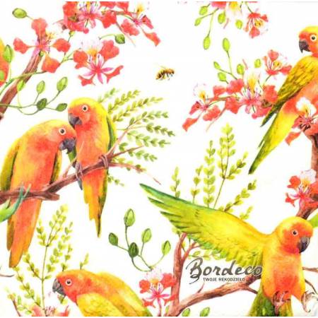 Serwetka do decoupage papużki faliste 33x33 firmy PAW