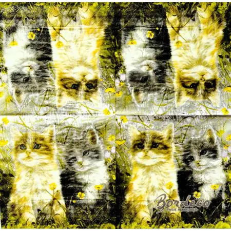 Serwetka do decoupage dwa koty na łące 33x33 PIXIE Unikat