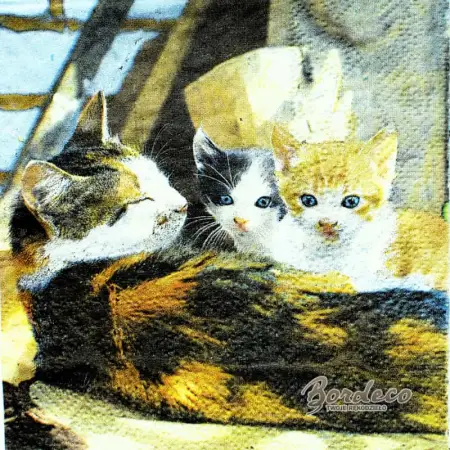 Serwetka do decoupage kotka z kociętami 25x25 PIXIE Unikat