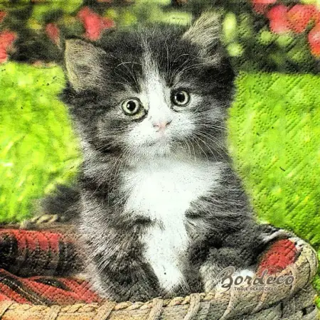 Serwetka do decoupage kotek w legowisku 33x33 PIXIE Unikat