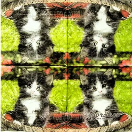 Serwetka do decoupage kotek w legowisku 33x33 PIXIE Unikat