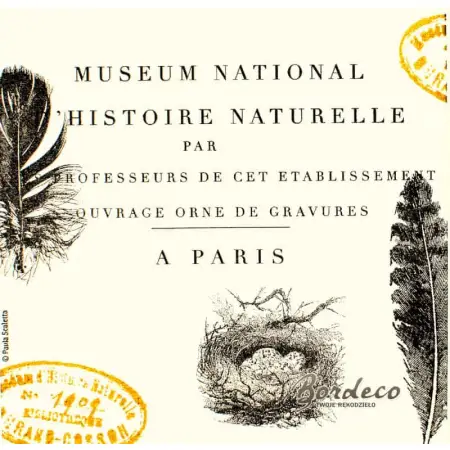 Serwetka do decoupage Muzeum Historii Naturalnej 33x33 PPD Unikat