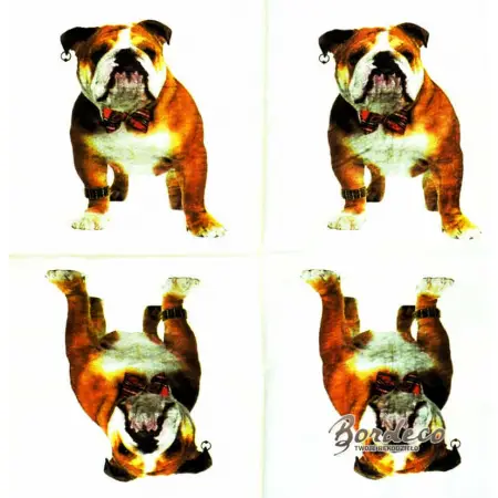 Serwetka do decoupage pies, buldog angielski 33x33 PPD Unikat