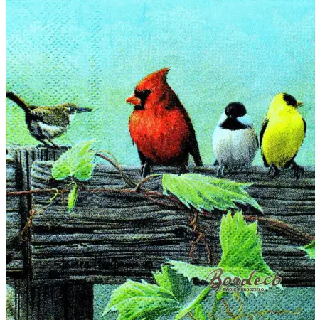Serwetka do decoupage kolorowe ptaszki na płocie 25x25 PPD Unikat
