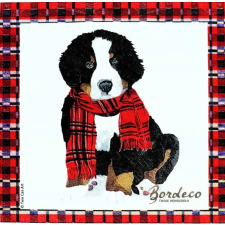 Serwetka do decoupage pies berneński w szaliku 25x25 PPD Unikat