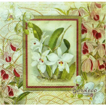 Serwetka do decoupage storczyki, orchidee 25x25 PUNCH, Unikat