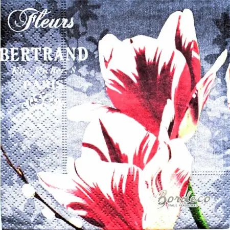 Serwetka do decoupage tulipany papuzie 25x25 Paper+Design Unikat