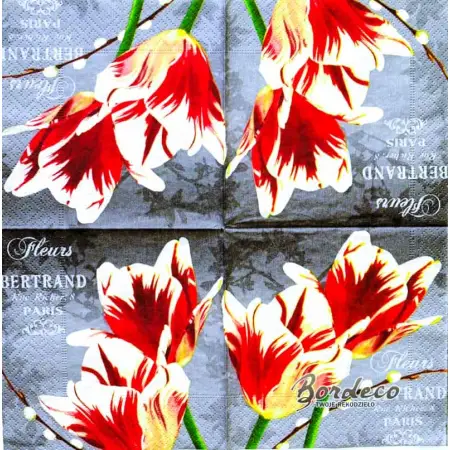 Serwetka do decoupage tulipany papuzie 25x25 Paper+Design Unikat