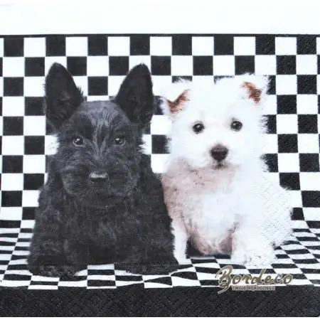 Serwetka do decoupage dwa pieski, biały i czarny 33x33 Paper+Design Unikat