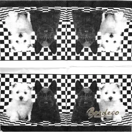 Serwetka do decoupage dwa pieski, biały i czarny 33x33 Paper+Design Unikat