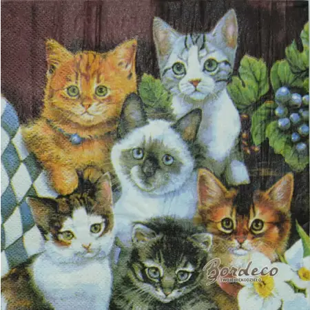 Serwetka do decoupage gromada kotków Paper+Design Unikat