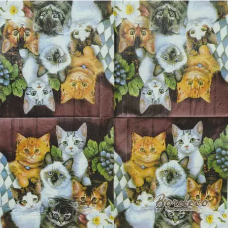 Serwetka do decoupage gromada kotków Paper+Design Unikat