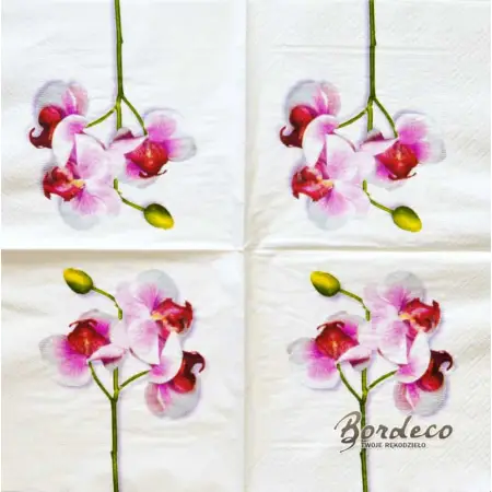 Serwetka do decoupage storczyk, orchidea 33x33 Paper+Design Unikat