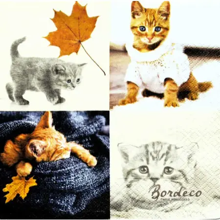 Serwetka do decoupage urocze małe kotki 33x33 Paper+Design Unikat