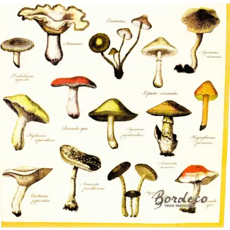 Serwetka do decoupage atlas grzybów leśnych 33x33 R&F Unikat