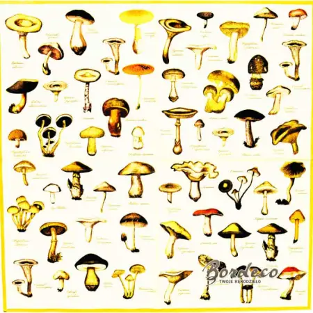 Serwetka do decoupage atlas grzybów leśnych 33x33 R&F Unikat