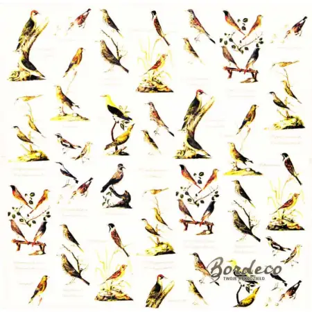 Serwetka do decoupage atlas dzikich ptaków 33x33 R&F Unikat