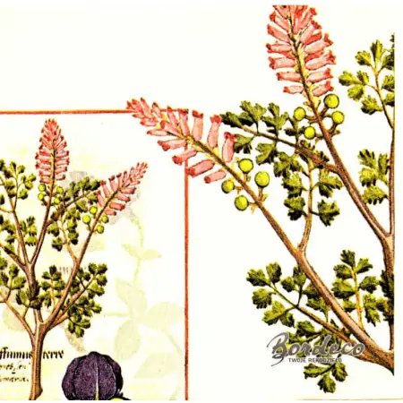 Serwetka do decoupage irysy i orchidee botaniczne 33x33 R&F Unikat