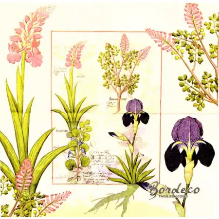 Serwetka do decoupage irysy i orchidee botaniczne 33x33 R&F Unikat