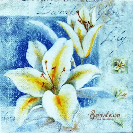 Serwetka do decoupage jasna pastelowa lilia 33x33 R+F Unikat