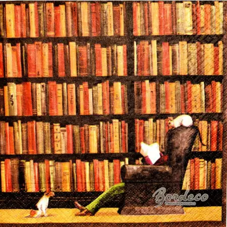 Serwetka do decoupage czytanie przy regale z książkami 33x33 R&F Unikat