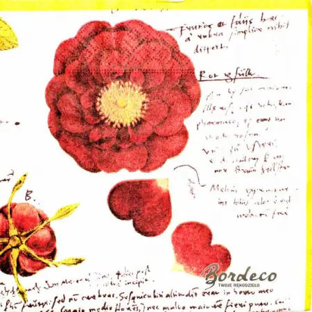 Serwetka do decoupage róże botaniczne 33x33 R&F Unikat