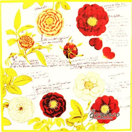 Serwetka do decoupage róże botaniczne 33x33 R&F Unikat